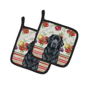 Black Newfoundland Vegetables Pair of Pot Holders Pair 7.5x7.5 Quilted Insulated Hot Pads Decorative Kitchen Gift Made in USA