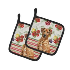 Rhodesian Ridgeback Vegetables Pair of Pot Holders Pair 7.5x7.5 Quilted Insulated Hot Pads Decorative Kitchen Gift Made in USA