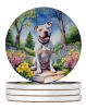 Pit Bull Terrier Spring Path Large Sandstone Coasters Pack of 4 Absorbent Round Coasters Decor Gifts for Men or Women, 4 in, Multicolor