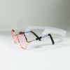 Pet Sunglasses